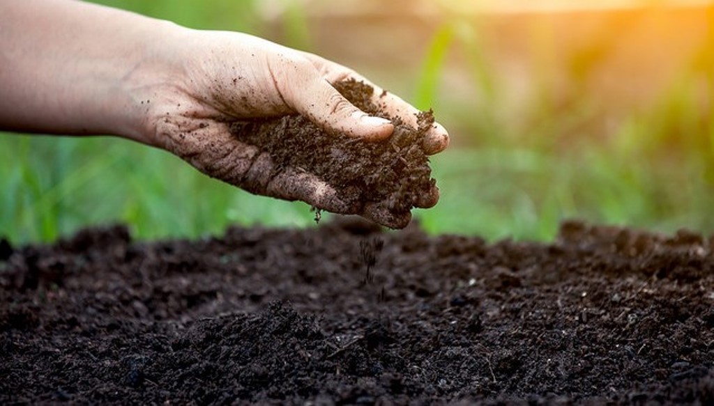 How to Check Soil pH at Home? Here are the tips