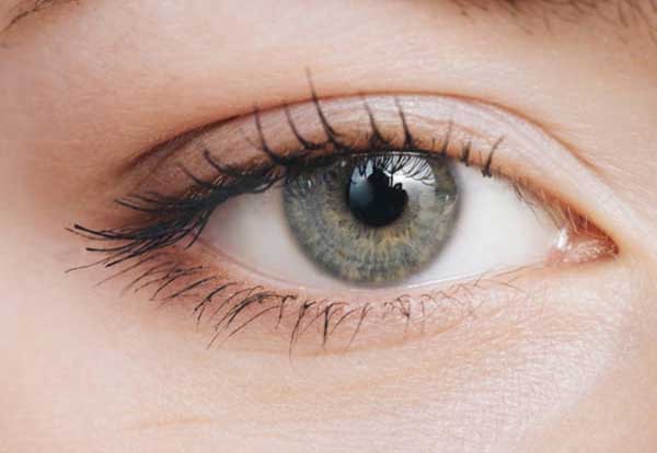 Glaucoma: Timely diagnosis can prevent blindness