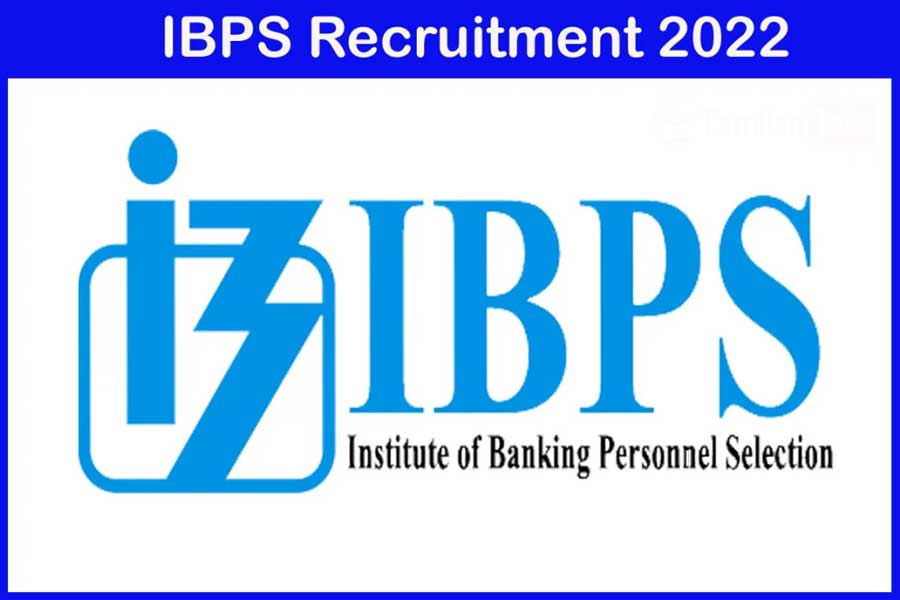 IBPS Recruitment 2022 : Apply for Division head post