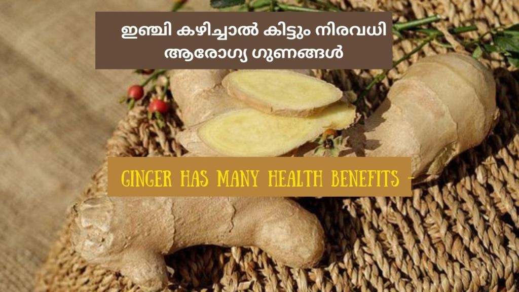 health benefits of Ginger