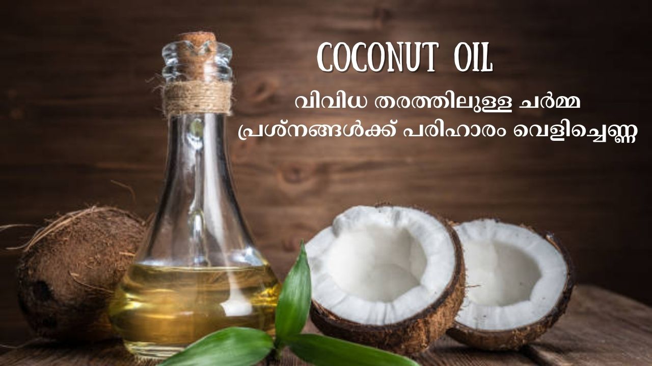 Coconut oil provides antioxidants, moisturizes, minimizes the signs of aging, boosts nutrients and helps to protect skin.