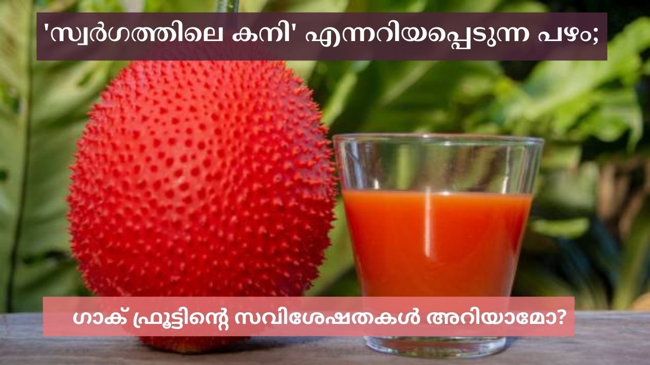 Health Benefits of Gac Fruit
