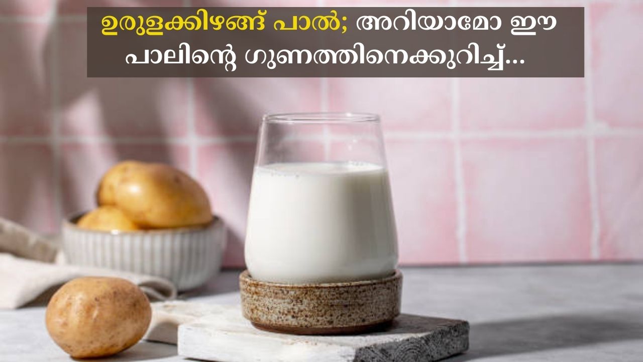 Potato milk; Do you know the benefits of this milk