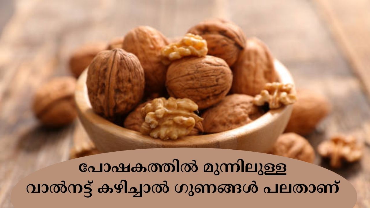 There are many benefits to eating walnuts, which are high in nutrients