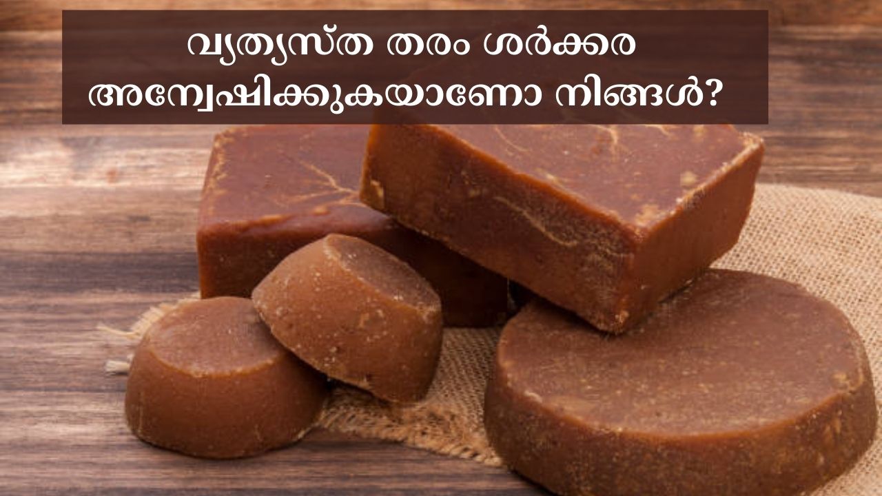 Are you looking for different types of jaggery?