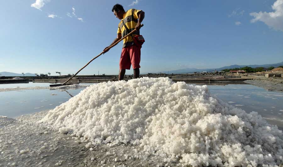 Salt business: If you have Rs 1 lakh, you can earn around Rs 2 lakh