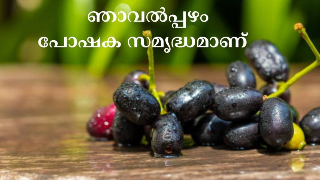 Health Benefits of Jamun fruit or Java plum