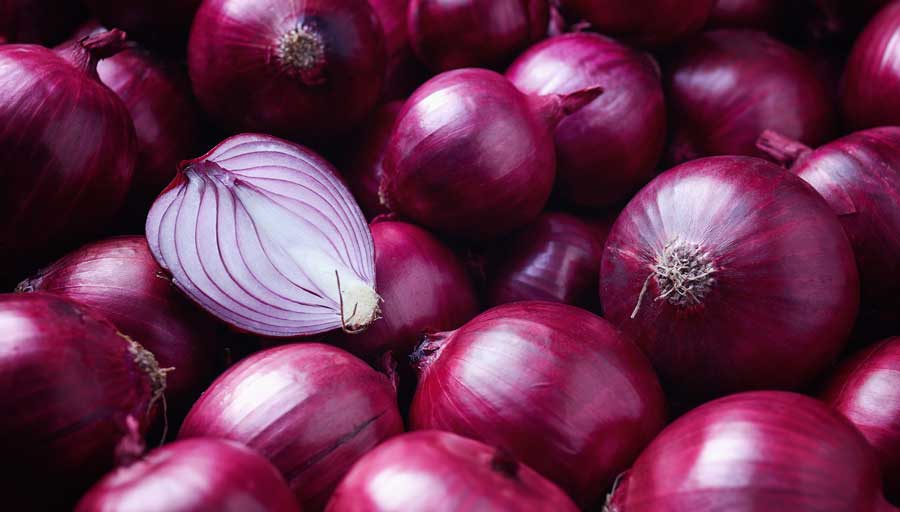 How to grow red onions at home?
