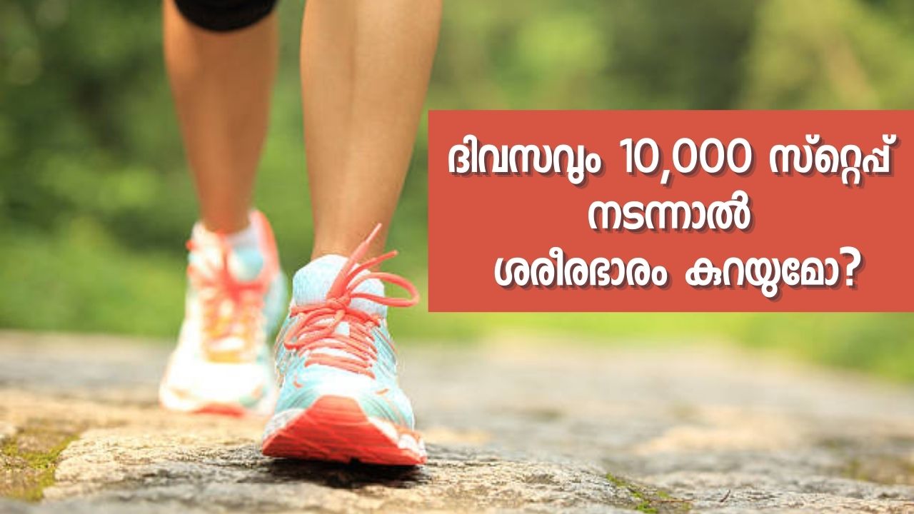 Walk 10,000 Steps Daily