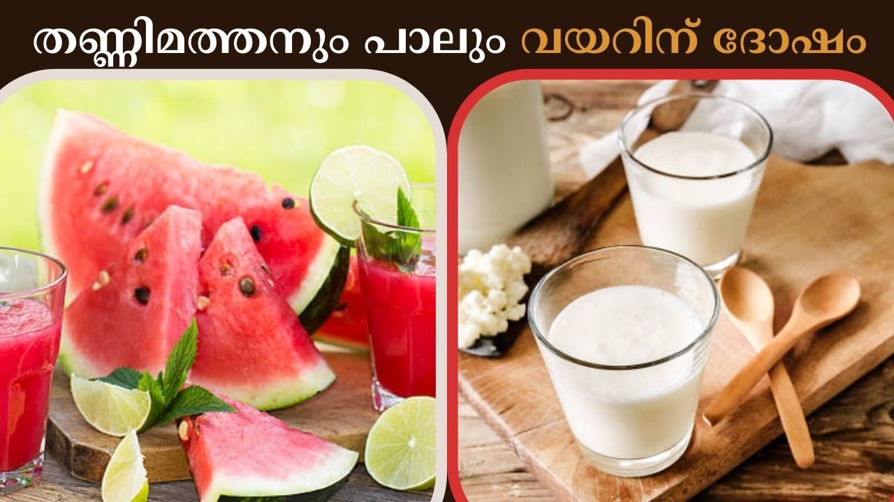 Eating watermelon and milk together is bad for your stomach; How?