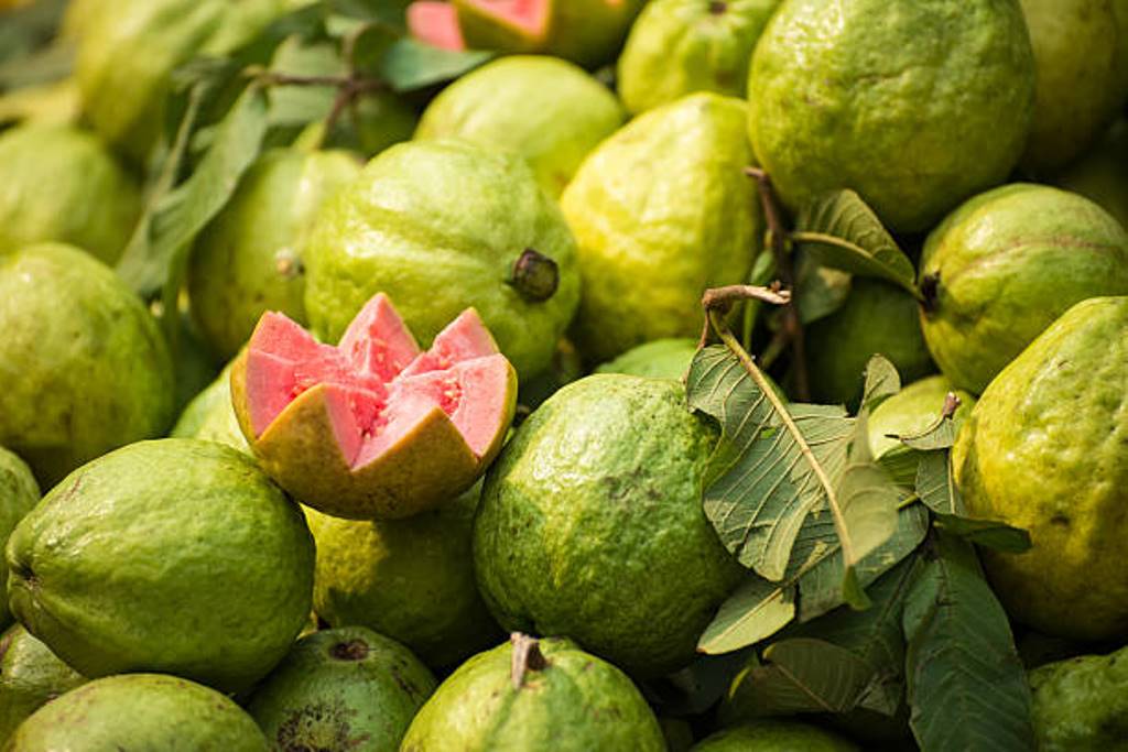 Amazing Health benefits of eating Guava