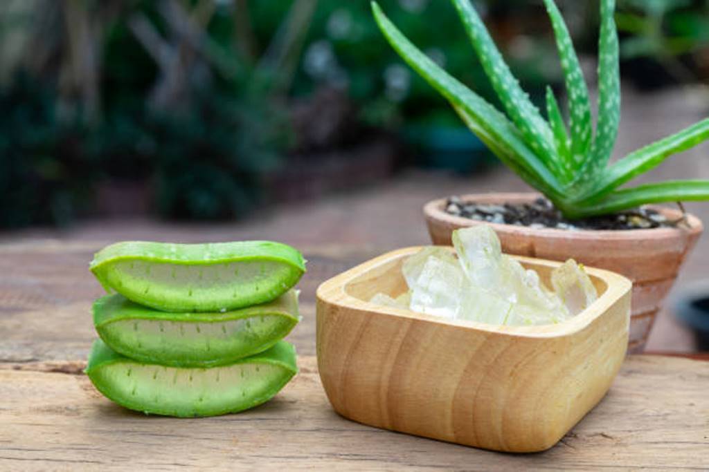 Aloe vera hair masks for all hair problems; How to use