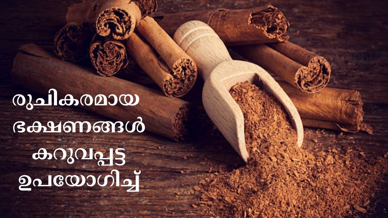 Make delicious dishes using by Cinnamon