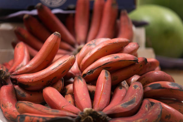 Health Benefits of Red Bananas; are they better than yellows