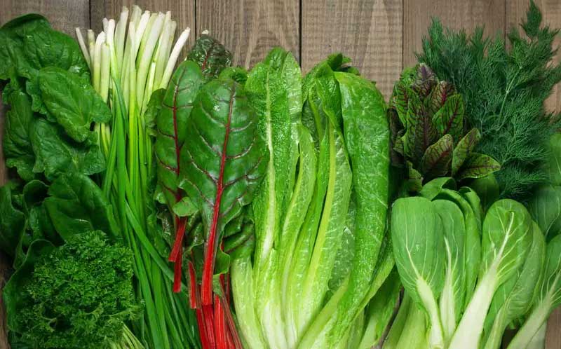 These leafy vegetables can be used in the diet for health and as medicine