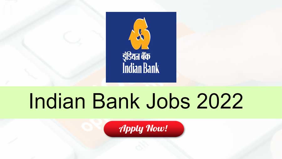 Indian Bank Recruitment 2022: Apply Online for 312 Specialist Officer Vacancies