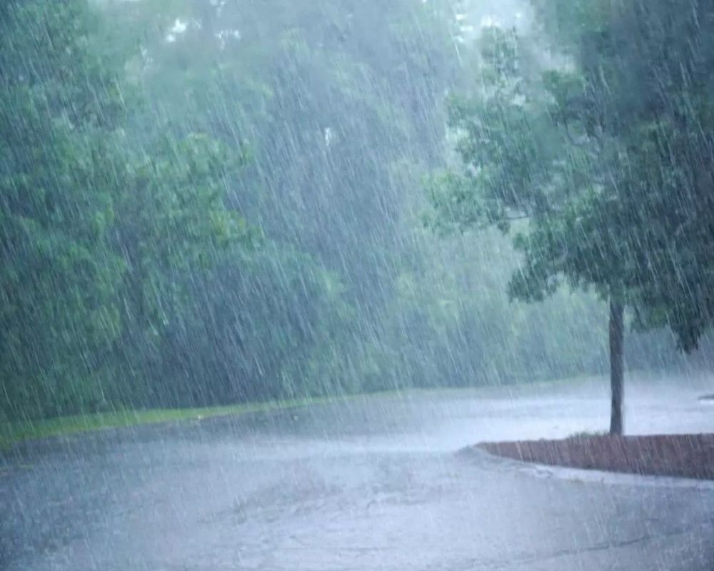 Weather Report: Possibility of rain in some places in Kerala for two to three days