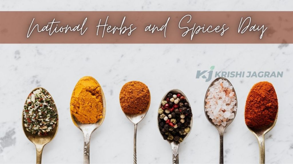 National Herbal And Spices Day 
