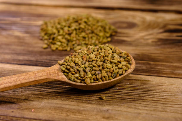 Health Medicinal Benefits and Side Effects of Fenugreek
