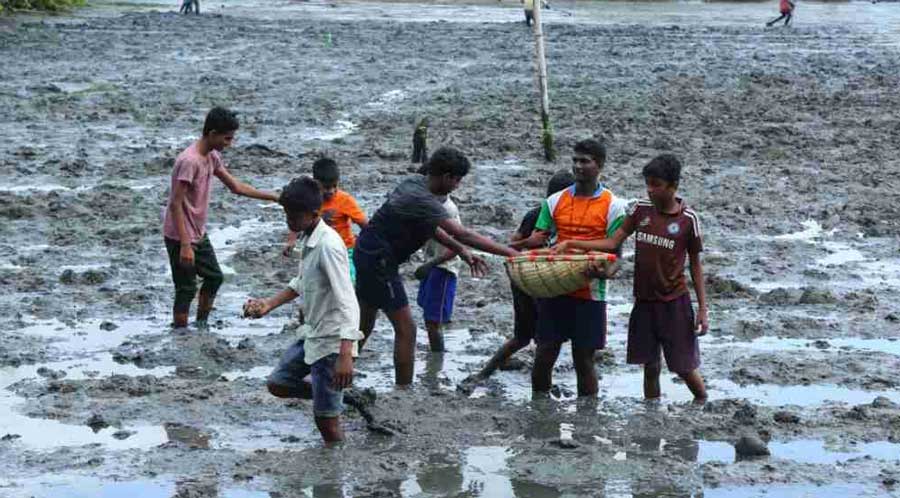 കാർഷിക സാംസ്ക്കാരിക നവോത്ഥാനത്തിന് തുടക്കമിട്ട്  ഓർഗാനിക് തിയേറ്റർ ഞങ്ങളും കൃഷിയിലേക്ക്  പദ്ധതിയുടെ പറവൂർ ബ്ലോക്ക്തല ഉദ്ഘാടനം നടന്നു