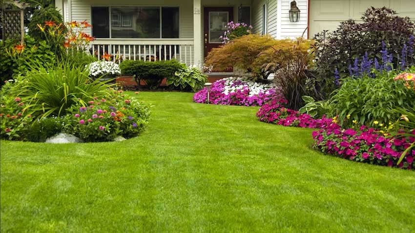 Tips to help you create a beautiful lawn in your backyard