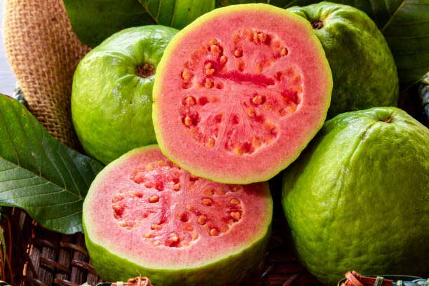 Guava - solution to all digestive problems