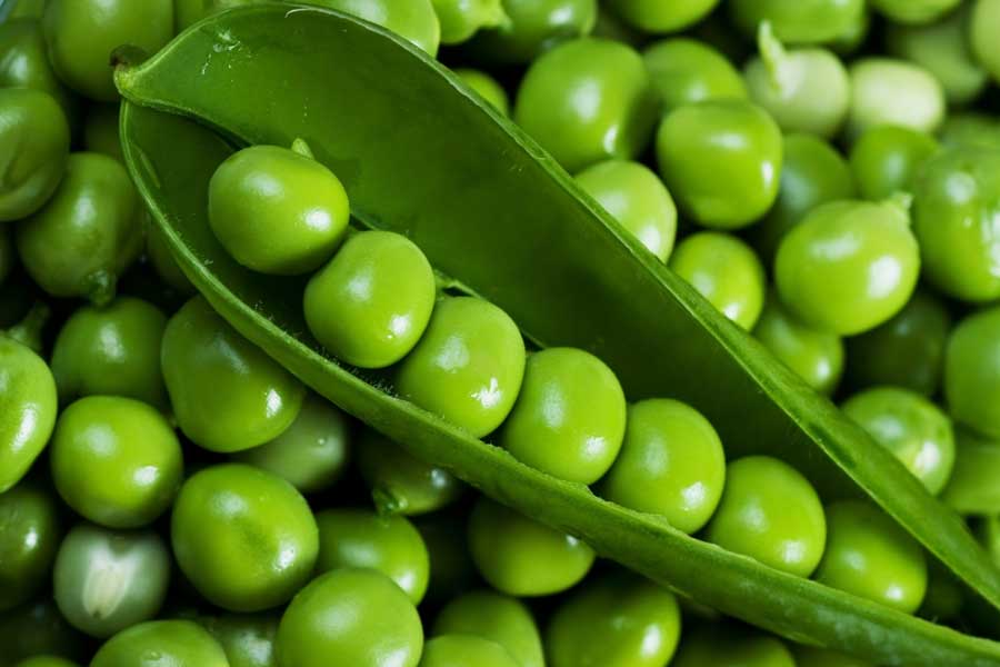 Green peas: A vegetable packed with all kinds of nutrients