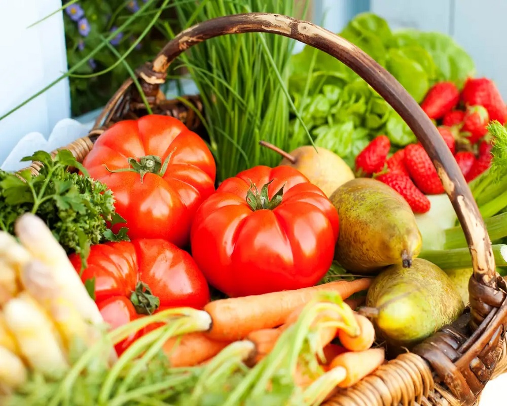 Market News: Beetroot, Carrot, Onion, Brinjal, Cucumber
