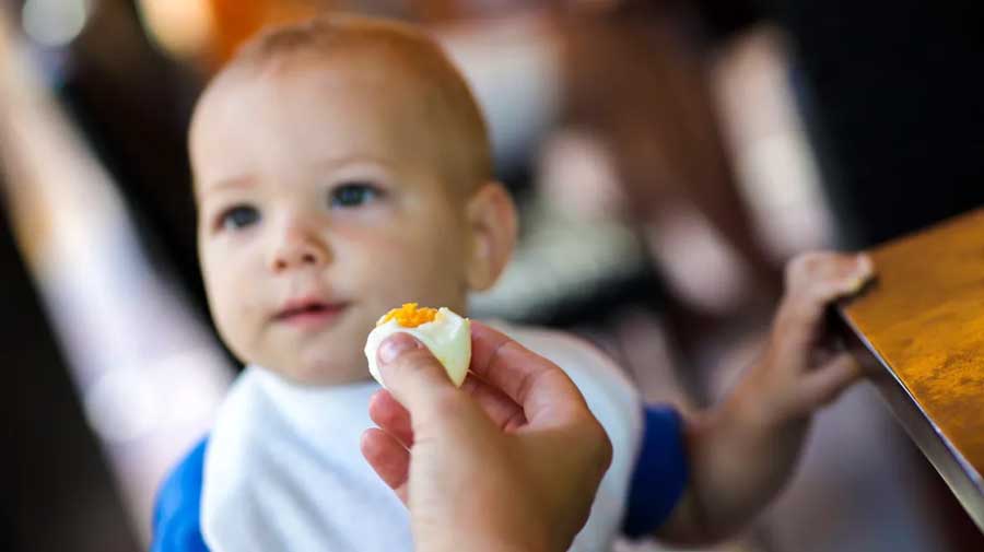 Children can get these benefits by giving them an egg daily