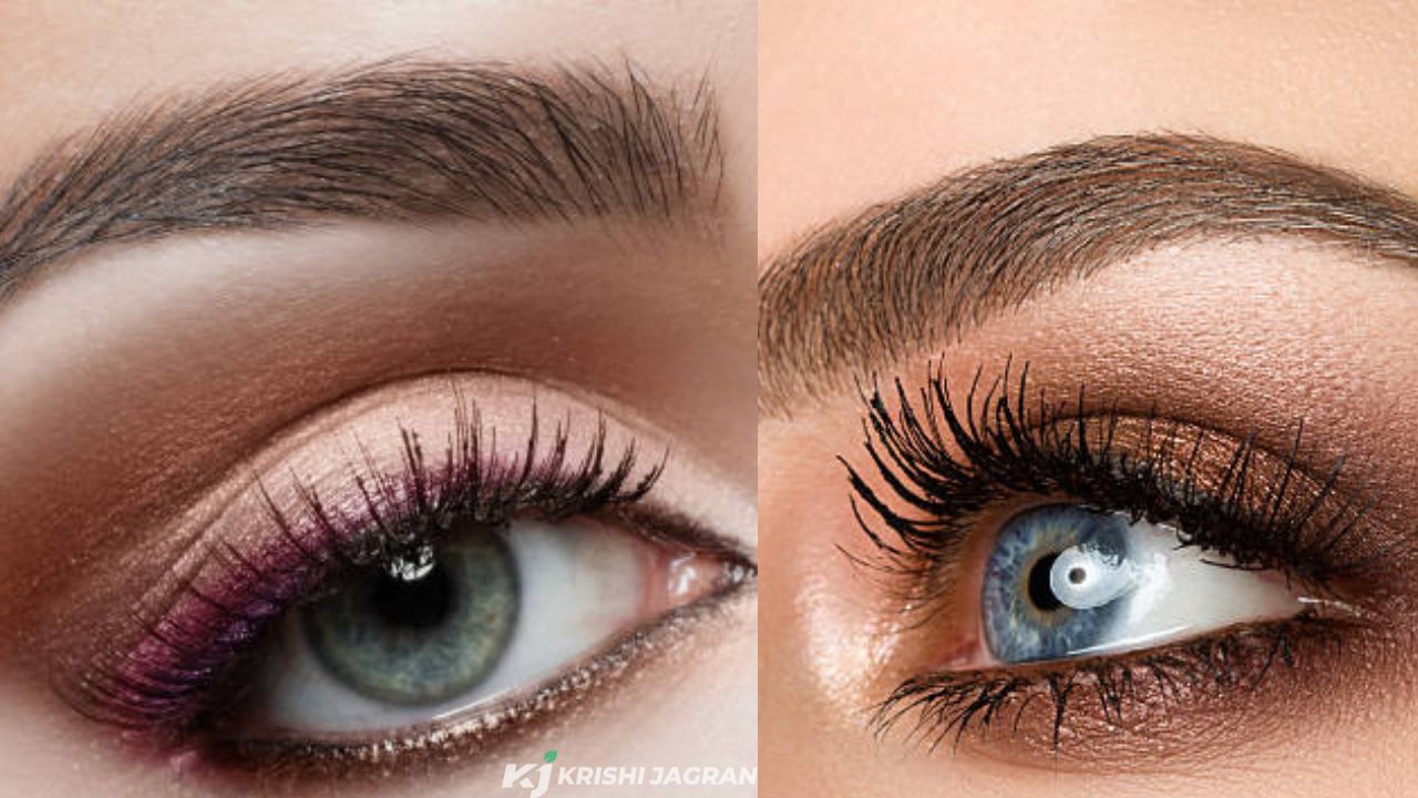 Eyebrows growth: You can do this for black thick eyebrows