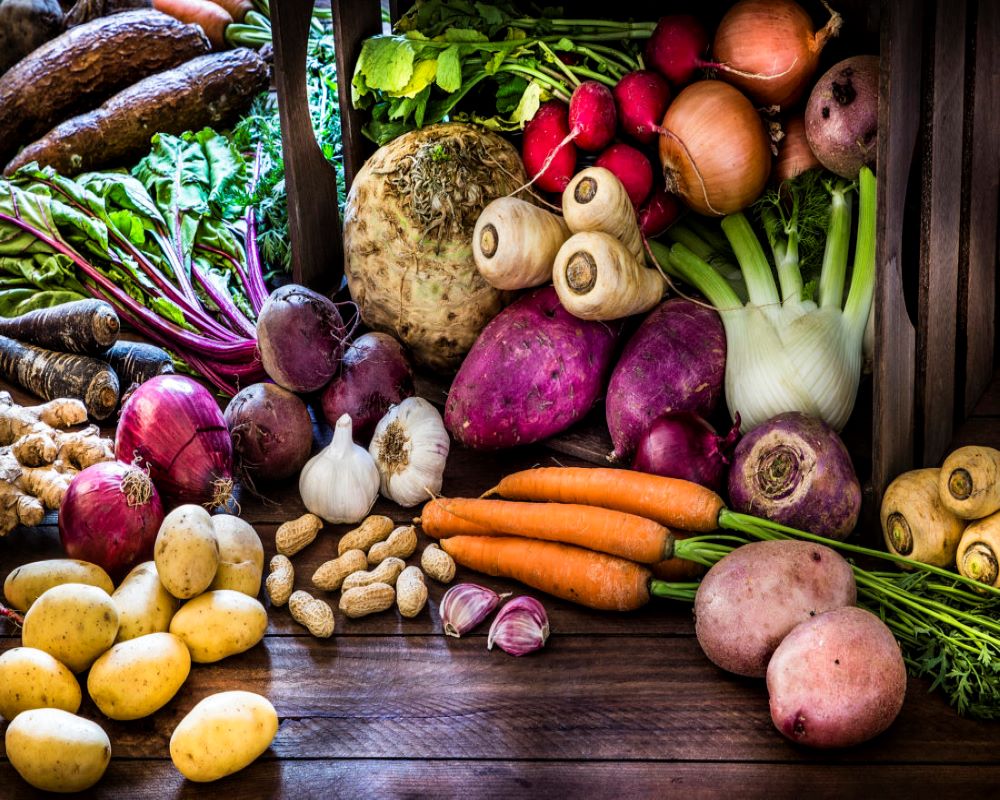 Market News: Carrot, Brinjal, Cucumber, Beans (English)