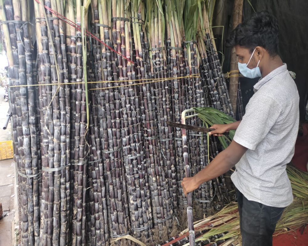 മലമ്പ്രദേശങ്ങളിൽ മഴയെ ആശ്രയിച്ചുള്ള കരിമ്പ്  കൃഷിയാണ് ഉത്തമം