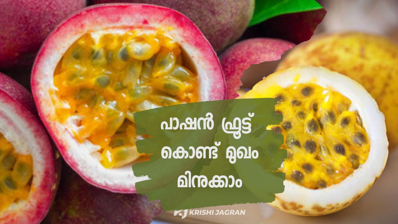 Face pack can be prepared with passion fruit