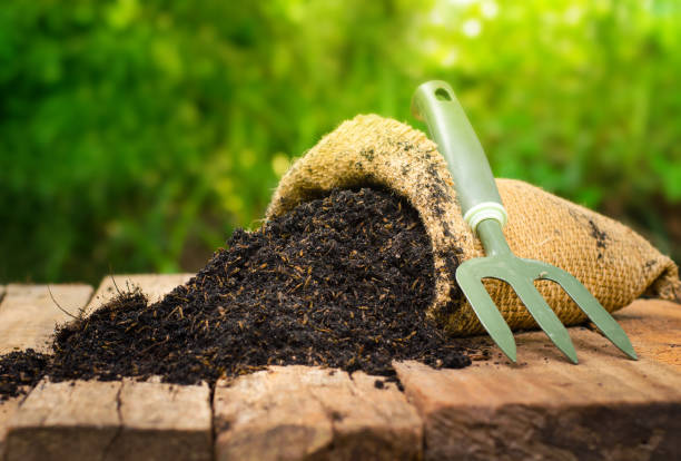 Everything you need to know when making dung compost...