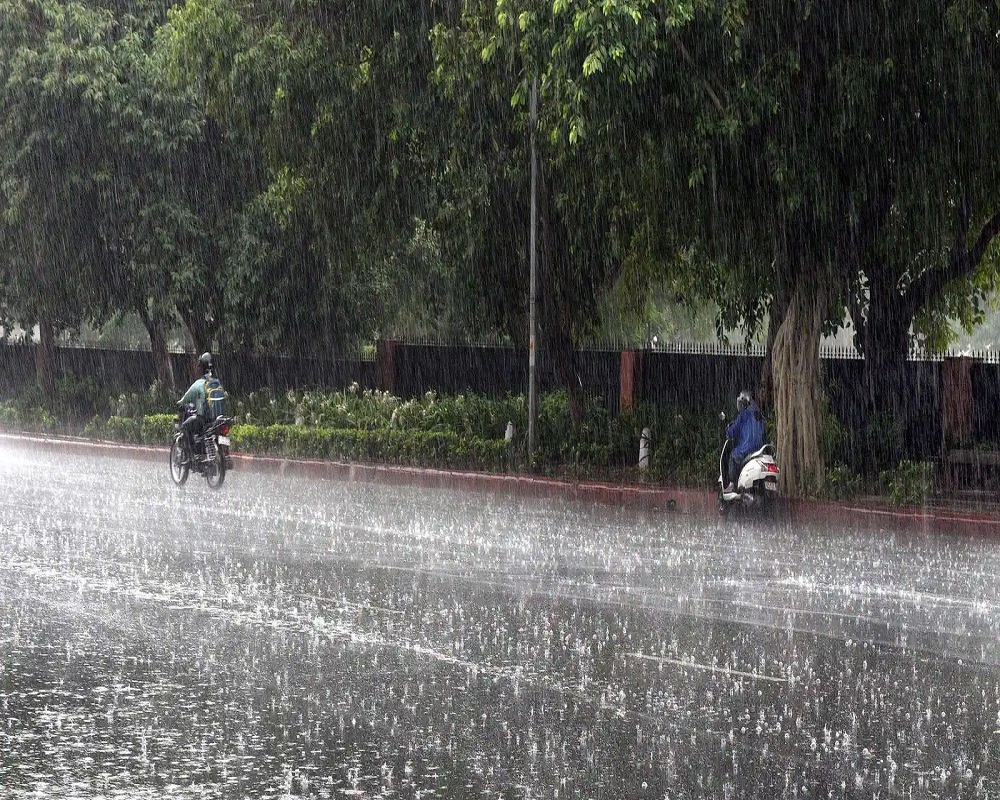 Weather Report: Moderate/moderate rains in Kerala for the next 5 days