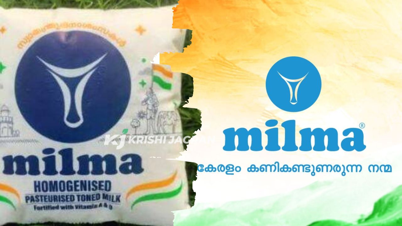 Milk War: Kerala to send Milma to Karnataka after 'Nandini' enters state