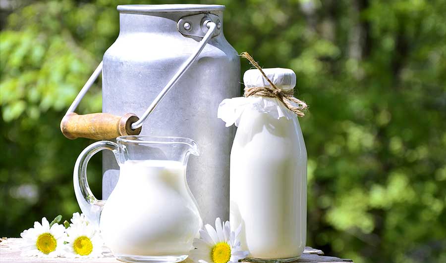 Organic milk production