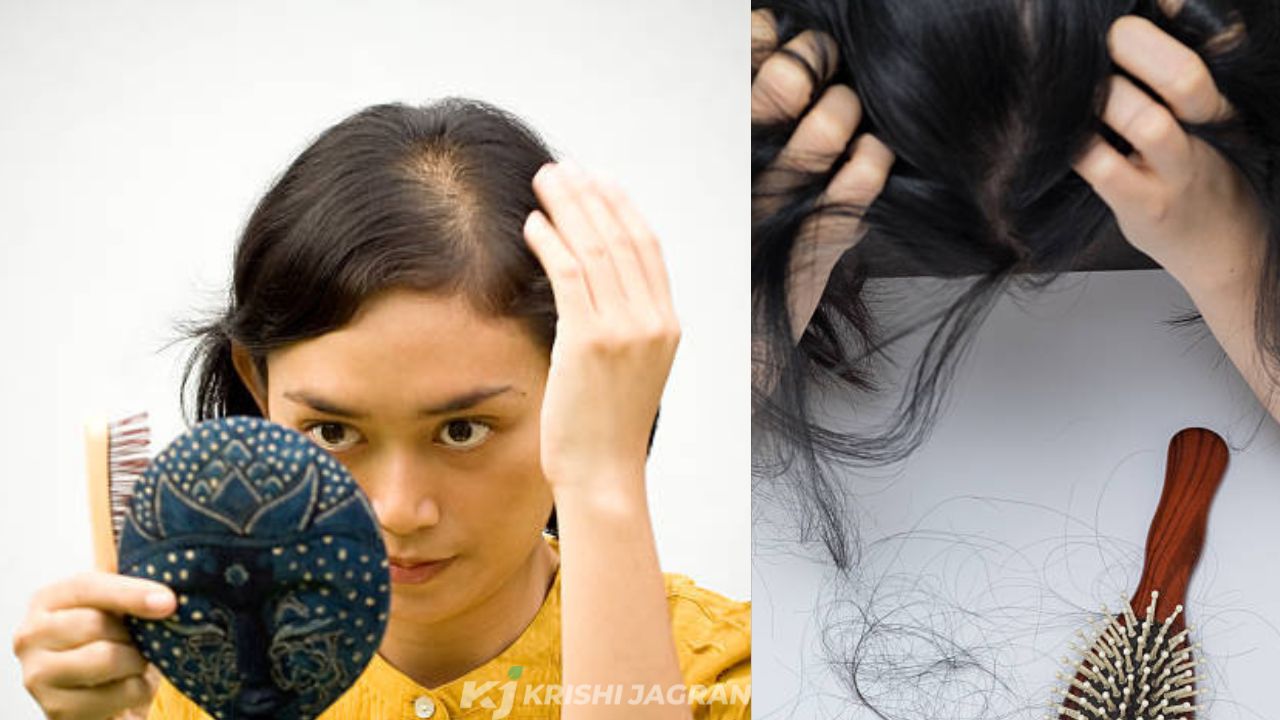 Excessive hair loss can be the beginning of many serious diseases