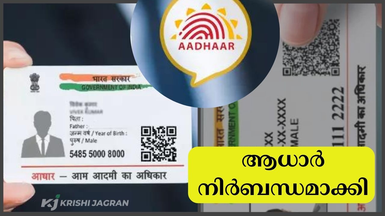 Aadhaar has been made mandatory for government subsidies and benefits