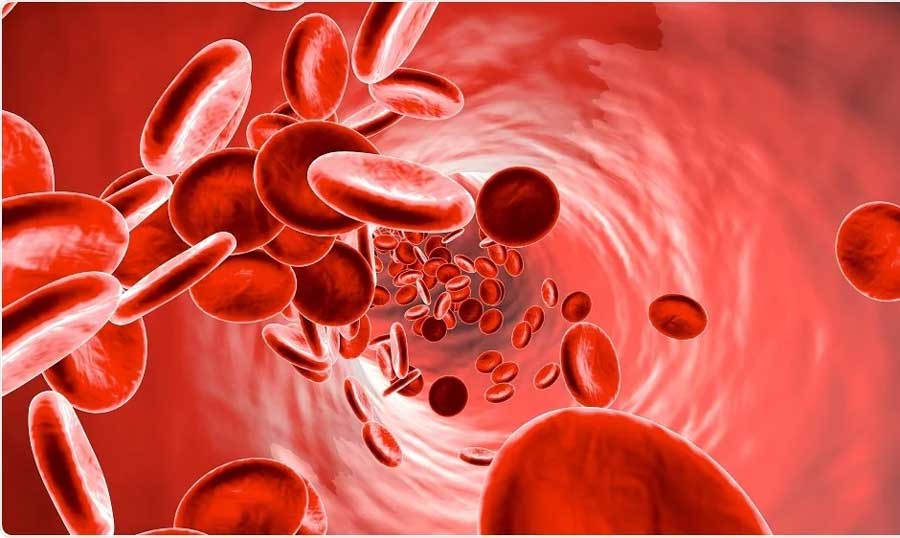 Anaemia: causes and remedies