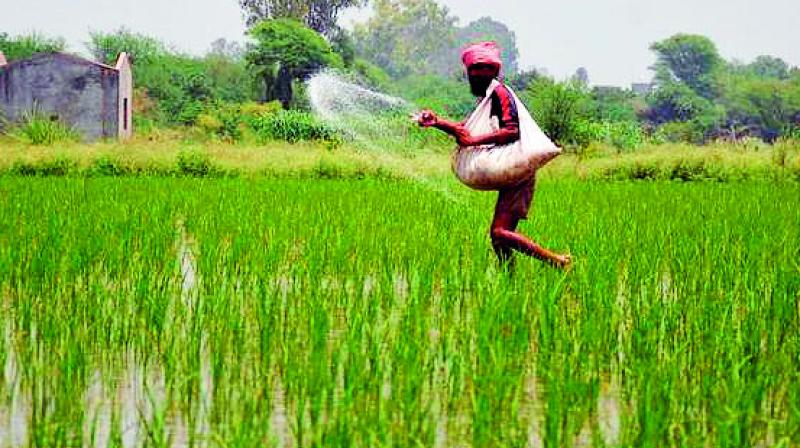 Assam loan waiving