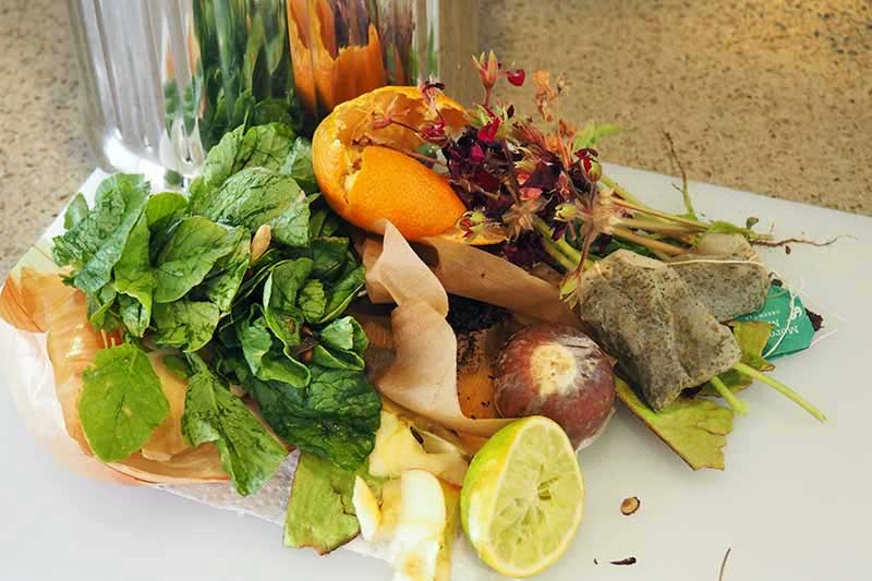 Nutritious fresh food can be made from kitchen waste