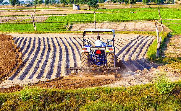 Farmers' income and agricultural productivity will be ensured says agricultural minister P Prasad