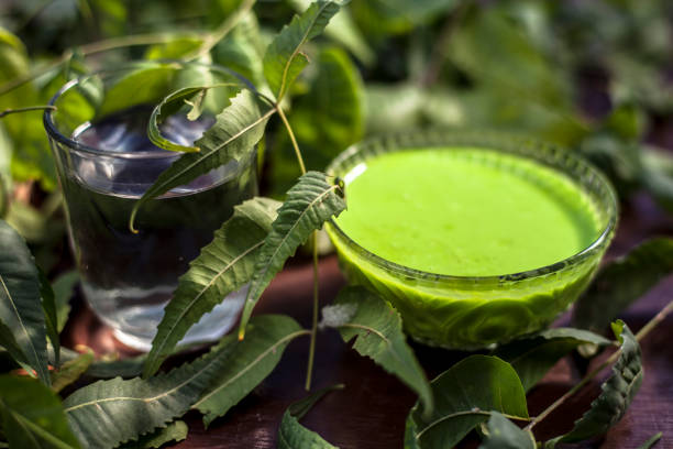 Neem leaves can be chewed to maintain oral hygiene