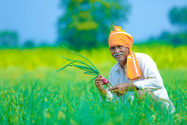 Weather-based crop insurance scheme Can apply