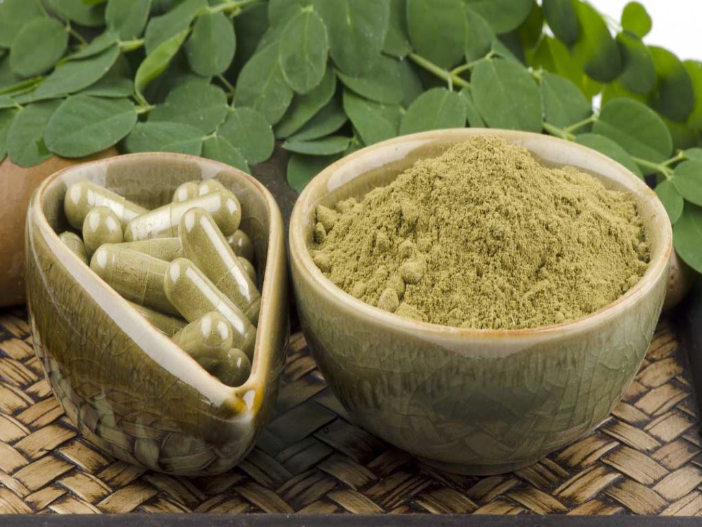 Moringa oleifera is a plant, it is very rich in antioxidant and bioactive plant compounds.