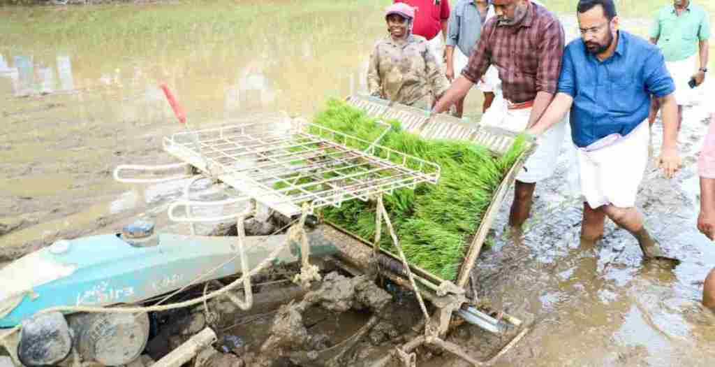 Ministers went to the fields and planted corn; Farmers with double enthusiasm