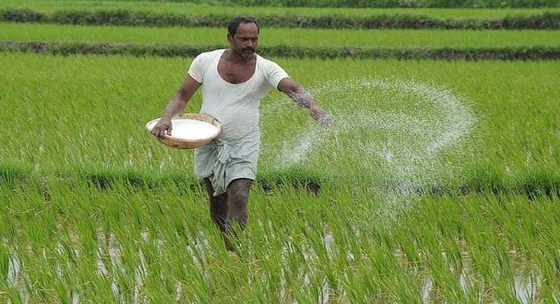 Cabinet approves Nutrient Based Subsidy Rates for Phosphatic and Potassic Fertilizers for Rabi season 2022-23