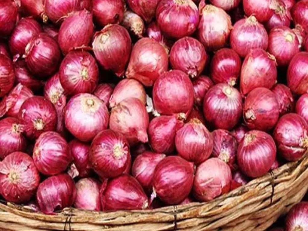 Kharif Onion estimated to be 13 pc lower