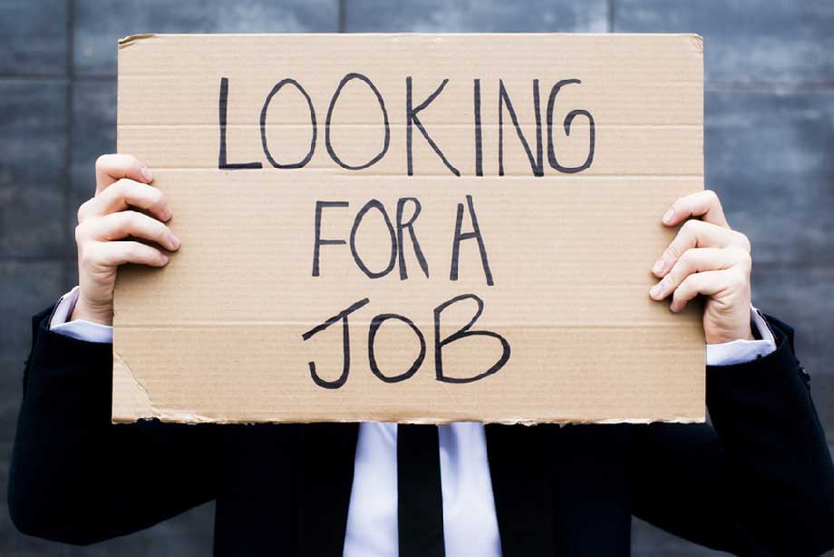 Today's Job Vacancies (12/11/2022)